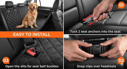 Aviora™ Paw Ride Protector