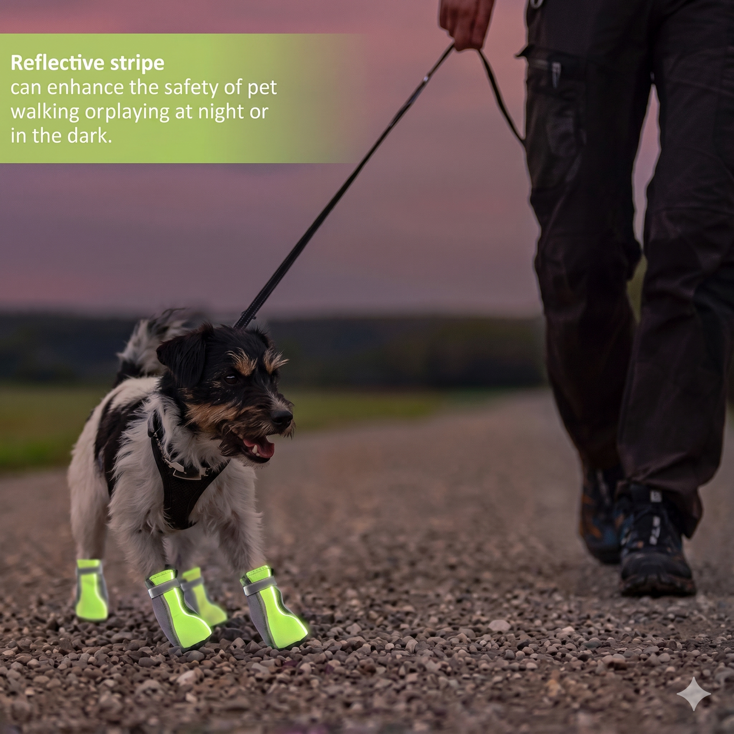 PawShield™ Dog Boots – Waterproof Anti-Slip Paw Protectors for Small, Medium & Large Dogs | Aviora