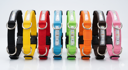 Night Glow Pet Collar