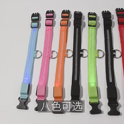 Night Glow Pet Collar